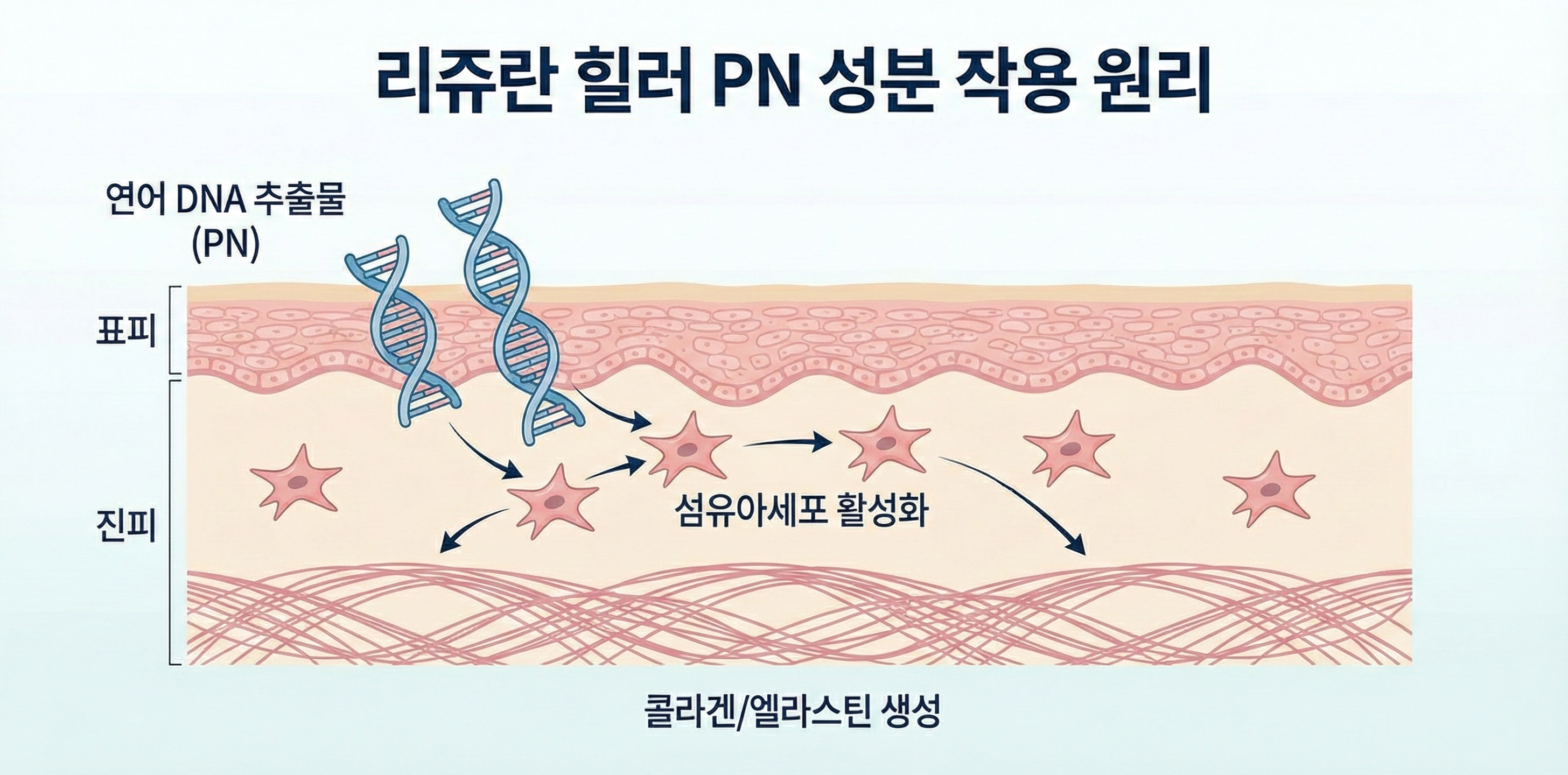 리쥬란 힐러란