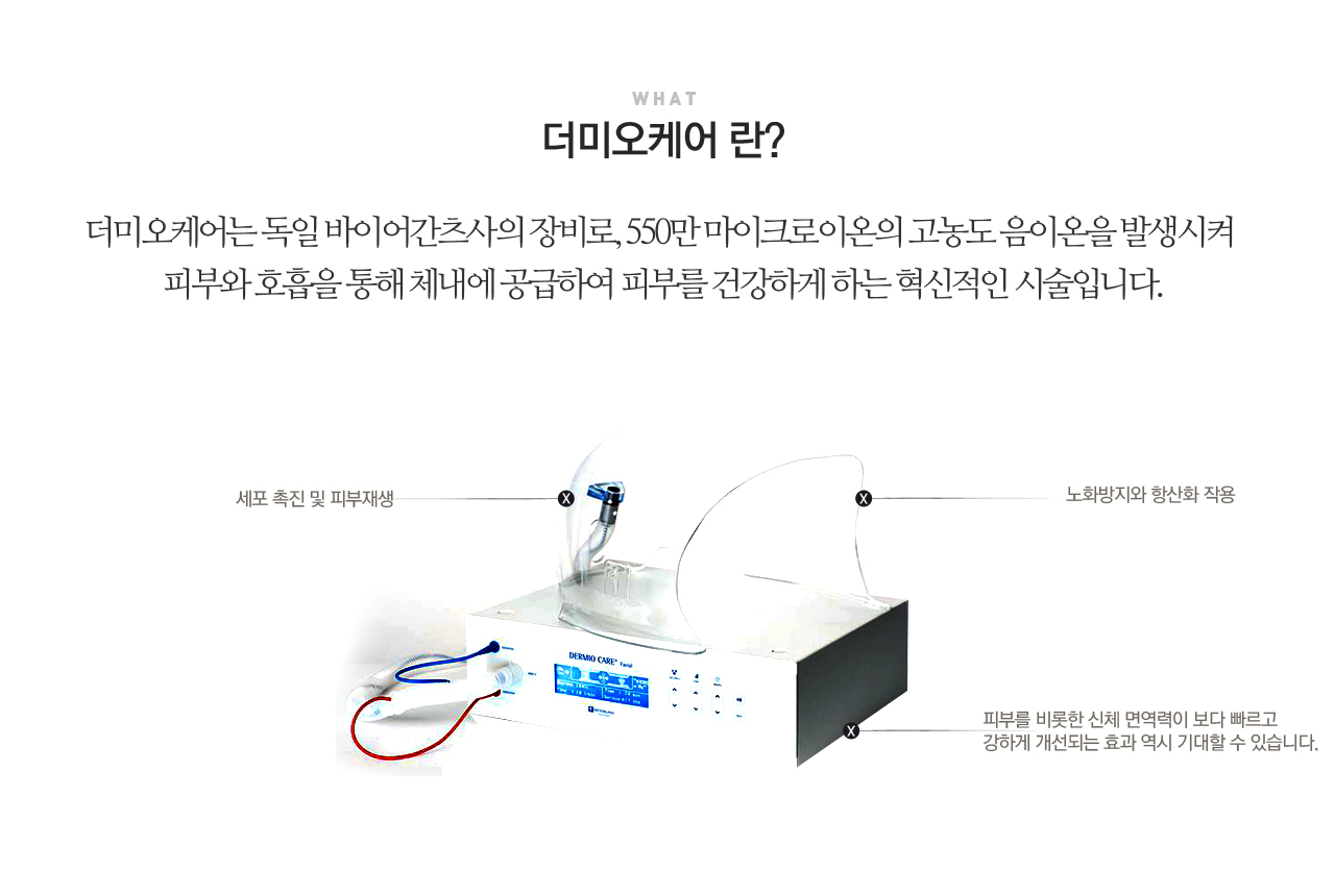 연예일필